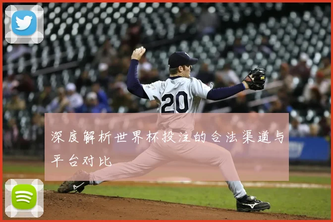 深度解析世界杯投注的合法渠道与平台对比