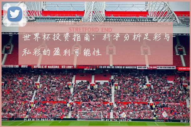 世界杯投资指南：科学分析足彩与私彩的盈利可能性