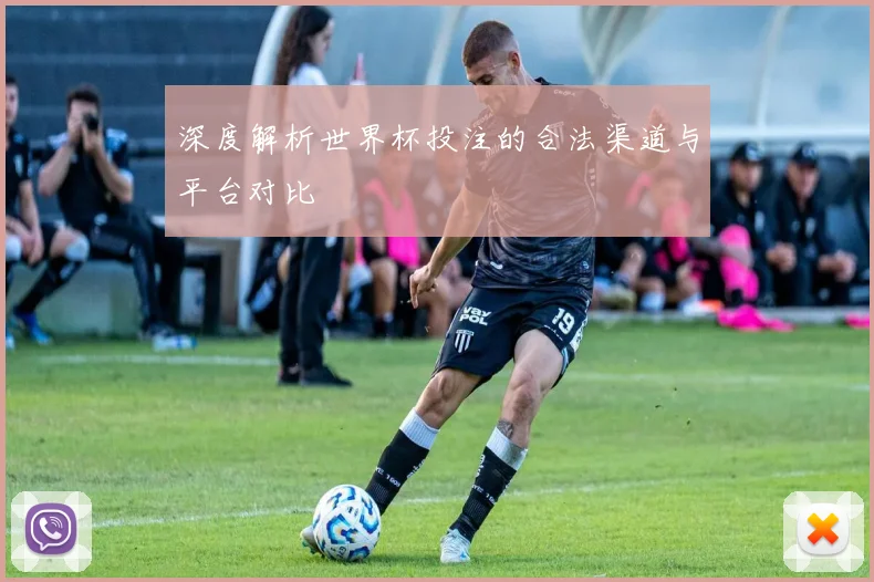 深度解析世界杯投注的合法渠道与平台对比