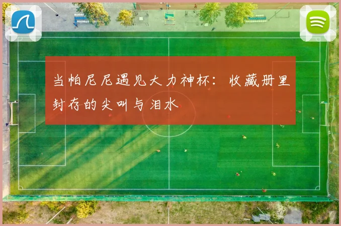 当帕尼尼遇见大力神杯：收藏册里封存的尖叫与泪水