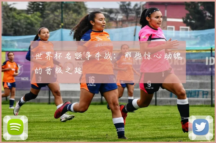 世界杯名额争夺战：那些惊心动魄的晋级之路