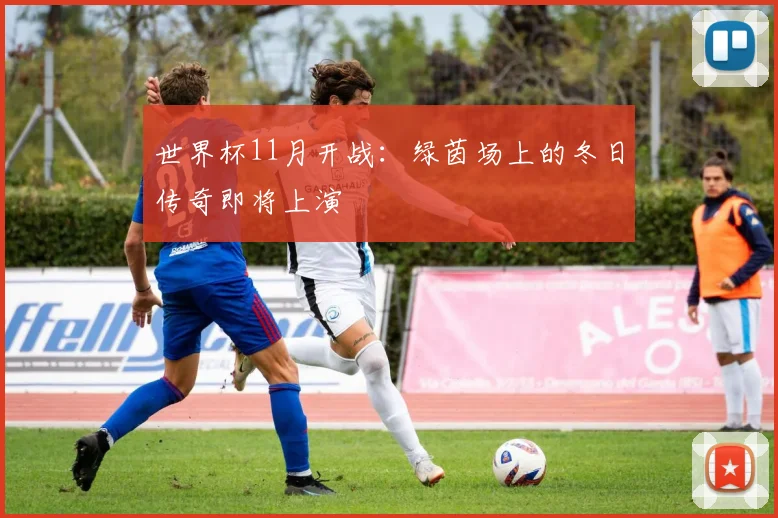世界杯11月开战：绿茵场上的冬日传奇即将上演