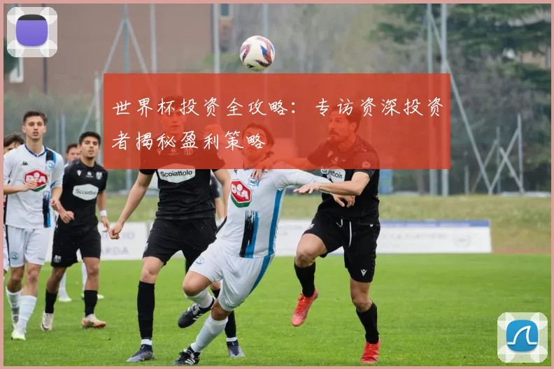 世界杯投资全攻略：专访资深投资者揭秘盈利策略
