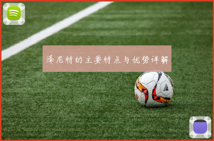 泽尼特的主要特点与优势详解