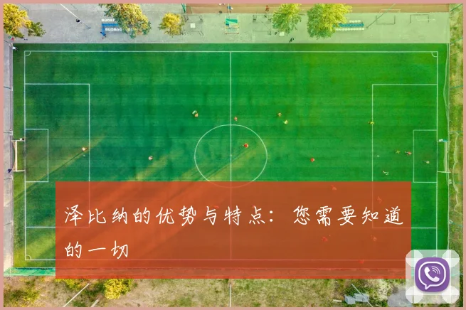 泽比纳的优势与特点：您需要知道的一切