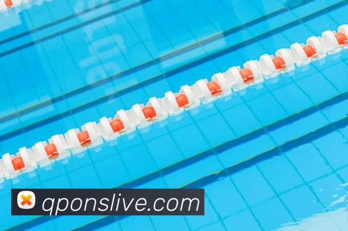 博亚体育app官网入口平台生态图